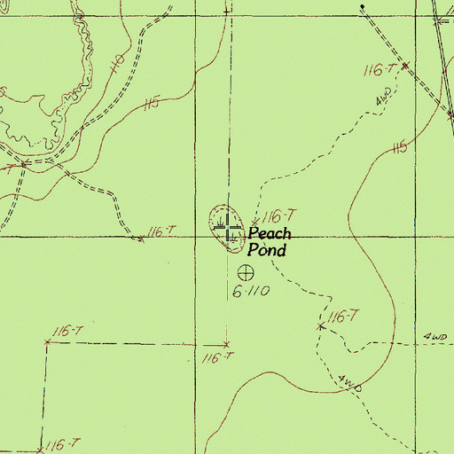 Topographic Map of Peach Pond, TX
