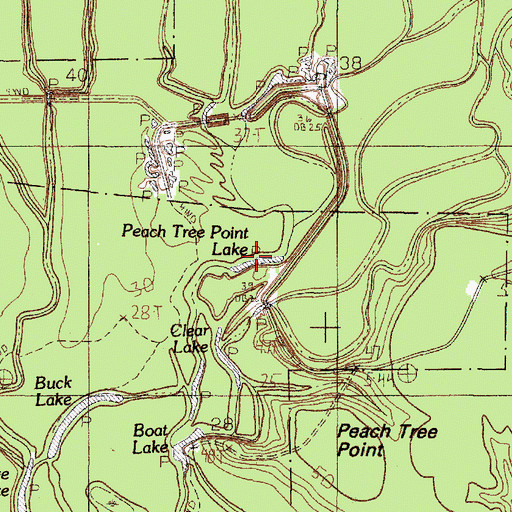 Topographic Map of Peach Tree Point Lake, TX