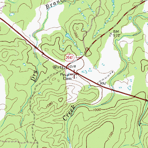 Topographic Map of Pecan Cemetery, TX
