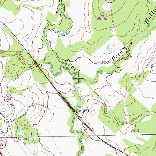 Topographic Map of Pecan Hollow Creek, TX