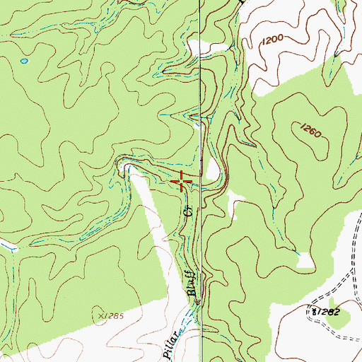 Topographic Map of Pecan Spring Branch, TX