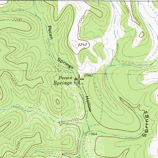 Topographic Map of Pecan Springs, TX