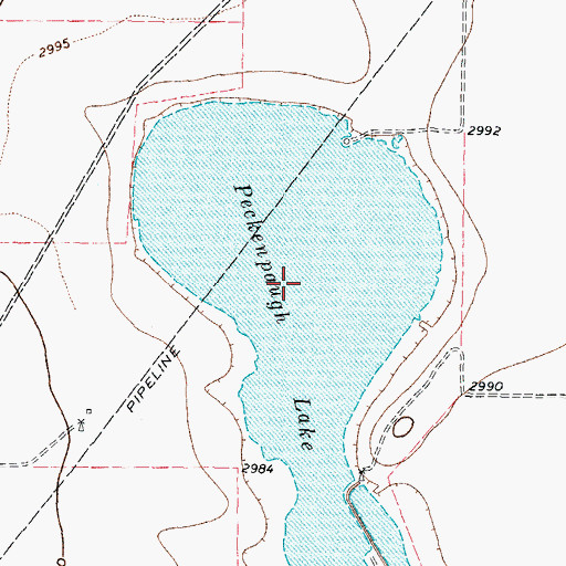Topographic Map of Peckenpaugh Lake, TX
