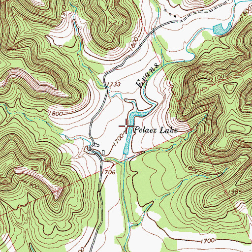 Topographic Map of Pelaez Lake, TX