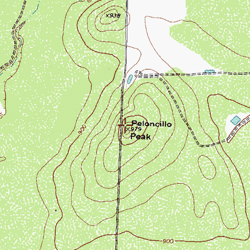 Topographic Map of Peloncillo Peak, TX