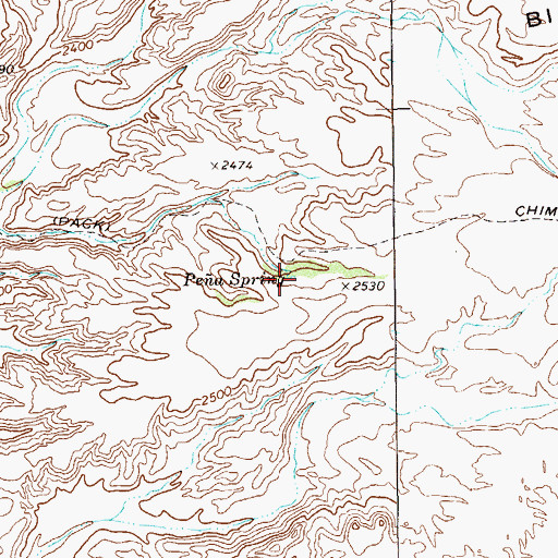 Topographic Map of Pea Spring, TX