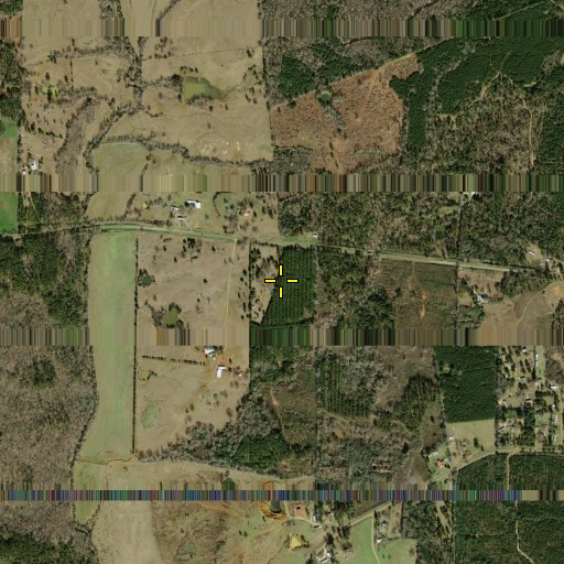 Aerial/Satellite Image of Perkins Cemetery, TX