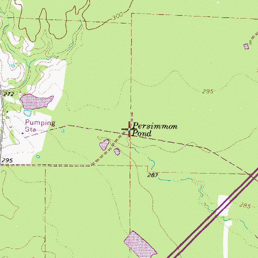 Topographic Map of Persimmon Pond, TX