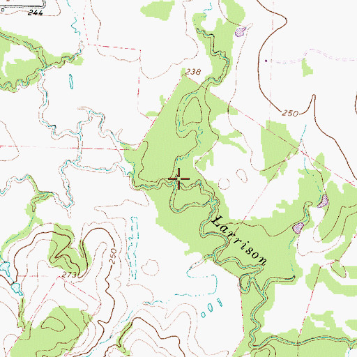 Topographic Map of Person Branch, TX