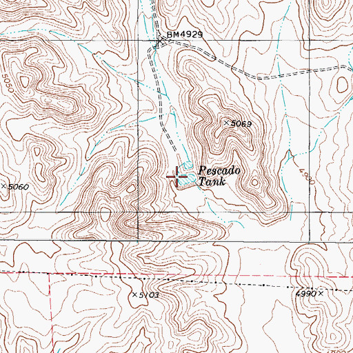 Topographic Map of Pescado Tank, TX