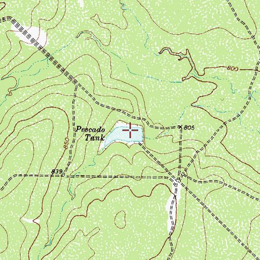 Topographic Map of Pescado Tank, TX