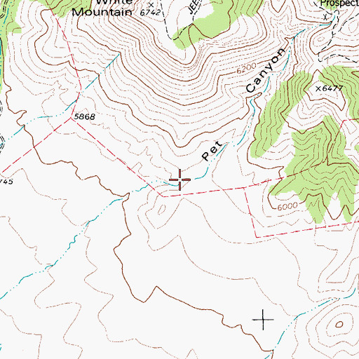 Topographic Map of Pet Canyon, TX