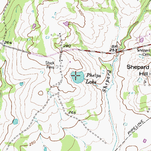 Topographic Map of Phelps Lake, TX