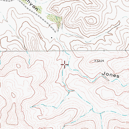 Topographic Map of Phillips Canyon, TX