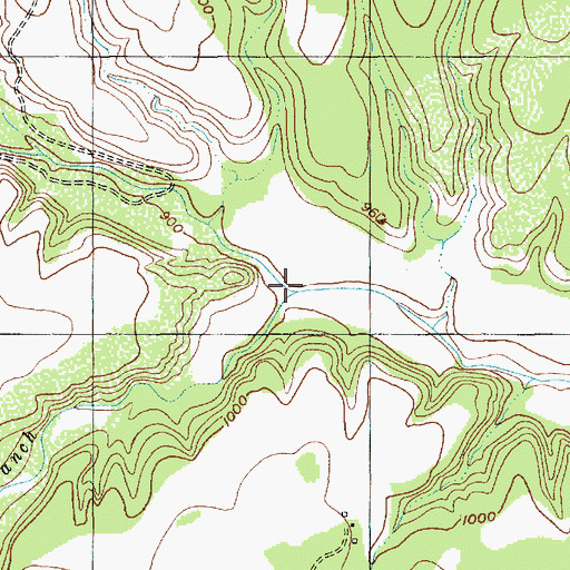 Topographic Map of Pickens Branch, TX