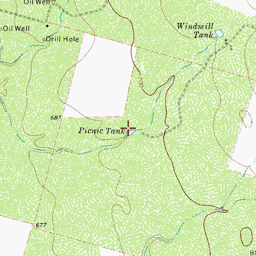 Topographic Map of Picnic Tank, TX