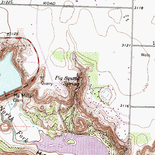 Topographic Map of Pig Squeal Spring, TX