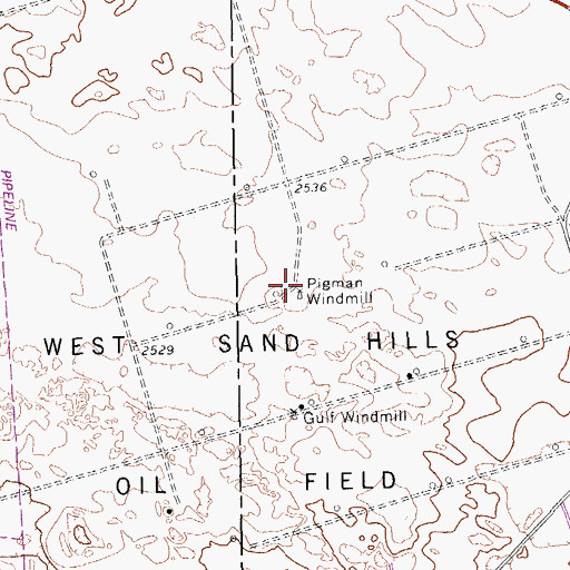 Topographic Map of Pigman Windmill, TX