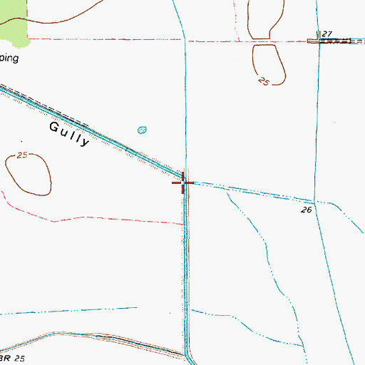 Topographic Map of Pignut Gully, TX