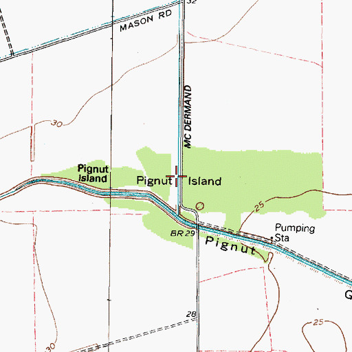 Topographic Map of Pignut Island, TX