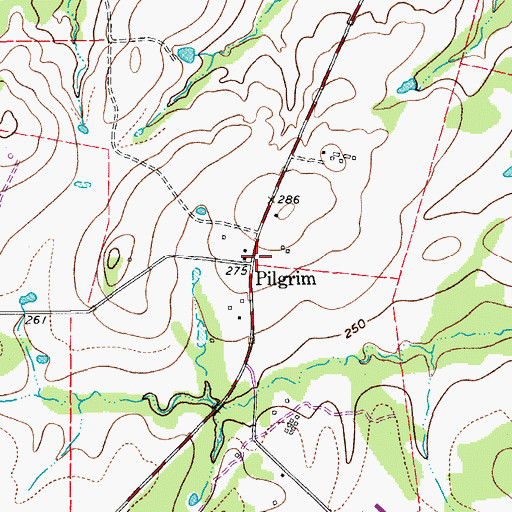 Topographic Map of Pilgrim, TX