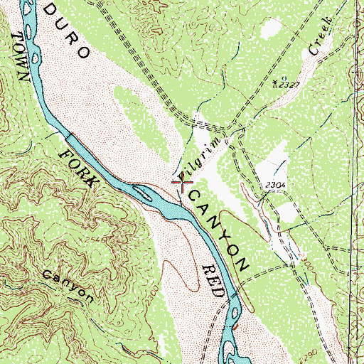 Topographic Map of Pilgrim Creek, TX