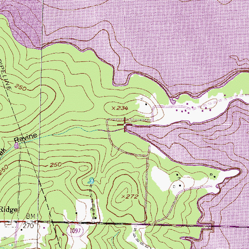 Topographic Map of Pin Oak Ravine, TX