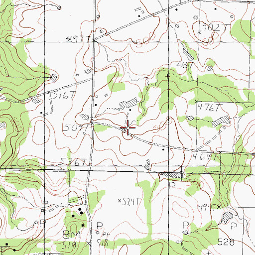 Topographic Map of Pine Bluff School, TX