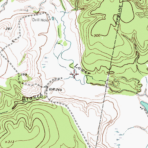 Topographic Map of Pine Branch, TX