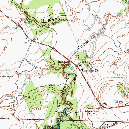 Topographic Map of Pine Branch, TX