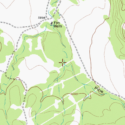 Topographic Map of Pine Canyon, TX