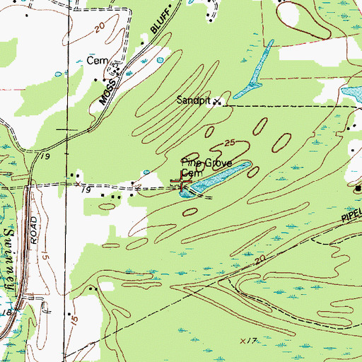 Topographic Map of Pine Grove Cemetery, TX