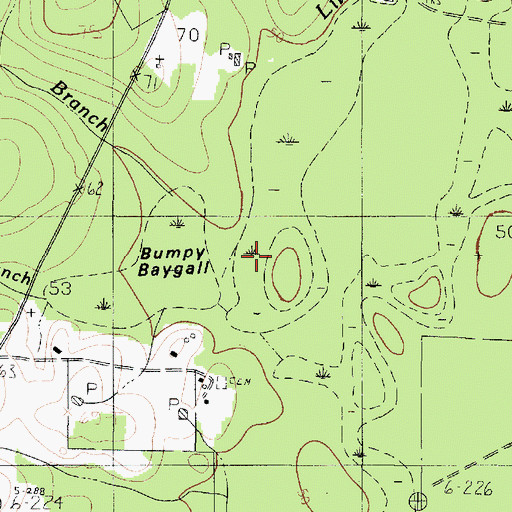 Topographic Map of Pine Log Branch, TX