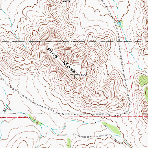 Topographic Map of Pine Mesa, TX