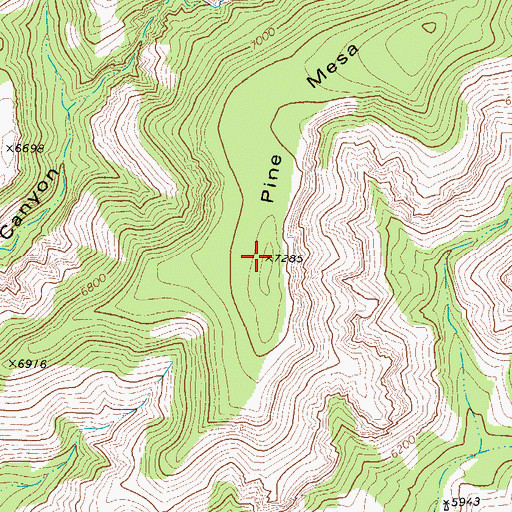 Topographic Map of Pine Mesa, TX