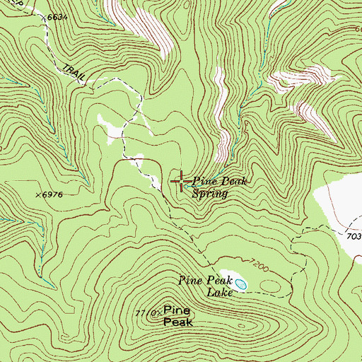 Topographic Map of Pine Peak Spring, TX