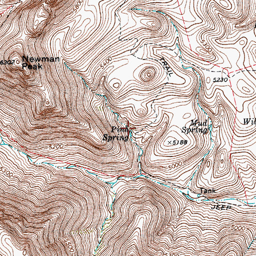 Topographic Map of Pine Spring, TX