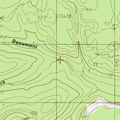 Topographic Map of Pinoak Branch, TX