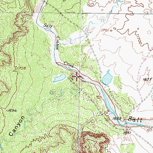 Topographic Map of Pitchfork Canyon, TX