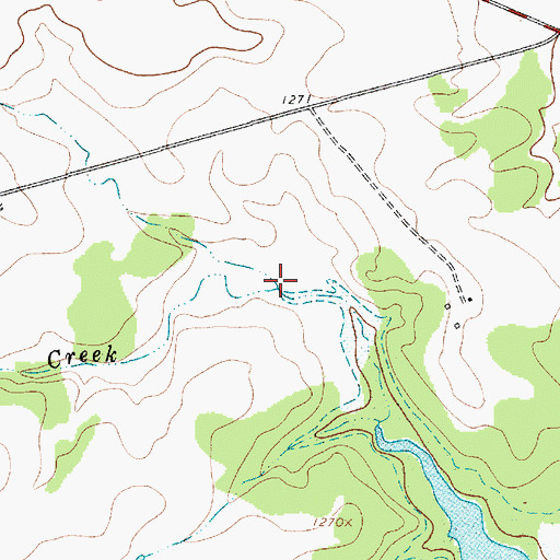 Topographic Map of Pitt Creek, TX