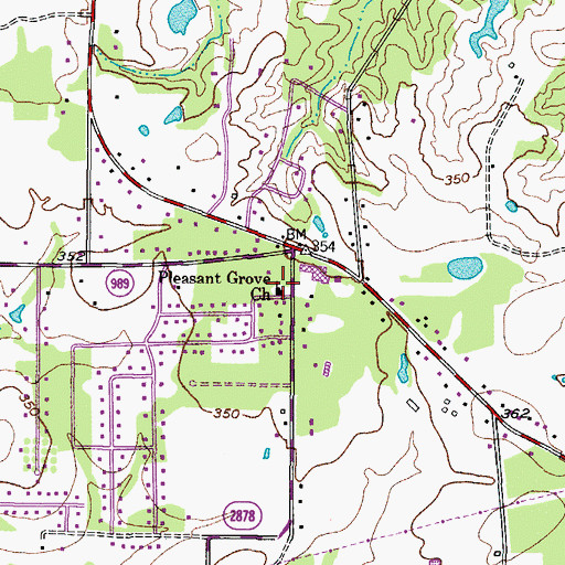 Topographic Map of Pleasant Grove Church, TX