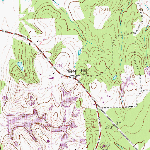 Topographic Map of Pleasant Hill Cemetery, TX