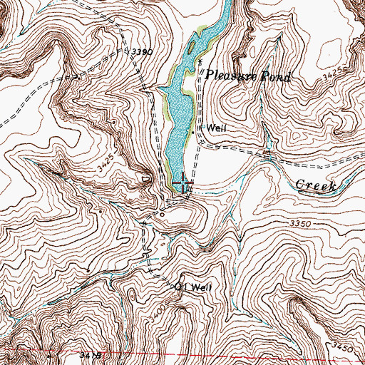Topographic Map of Pleasure Pond, TX
