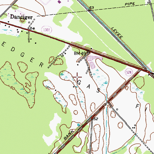 Topographic Map of Pledger Gas Field, TX