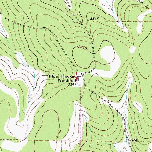 Topographic Map of Plum Thicket Windmill, TX