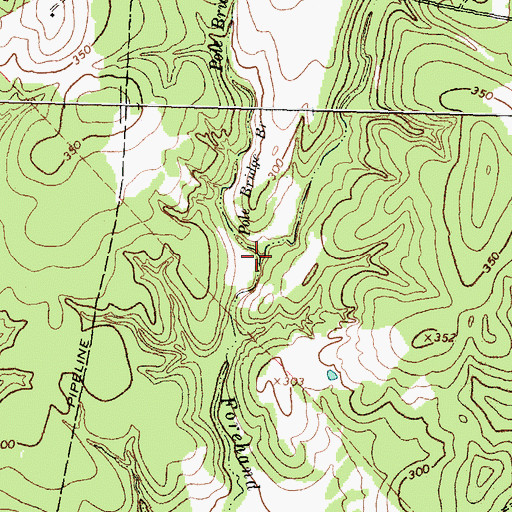 Topographic Map of Pole Bridge Branch, TX