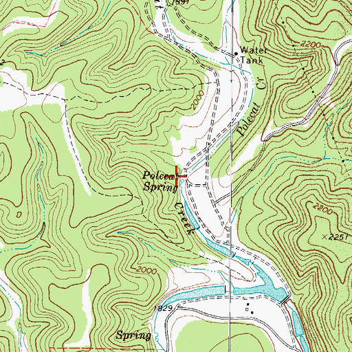 Topographic Map of Polecat Spring, TX