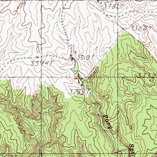 Topographic Map of Pony Spring, TX