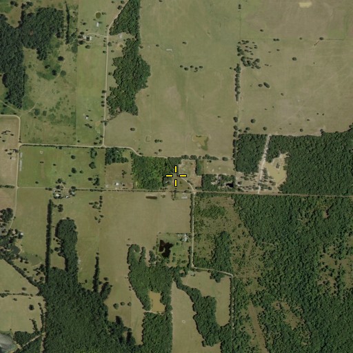 Aerial/Satellite Image of Post Oak School, TX