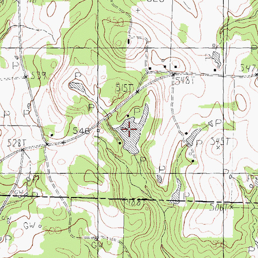 Topographic Map of Pounders Lake, TX